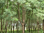 34867CIMG1538.JPG