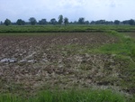 34548RIMG0013.JPG