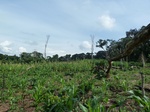 20138P1010989.JPG