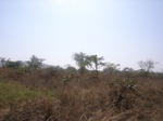 9031RIMG0109.JPG