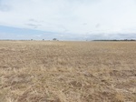 35884DSC02652.JPG
