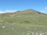 24253P1050696.JPG
