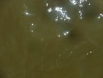 58139CIMG2461.JPG