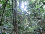 48008CIMG4345.JPG