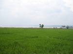 15894IMG_4442.JPG