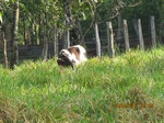 29969IMG_5385.JPG
