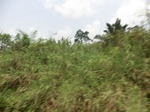 48961CIMG5298.JPG