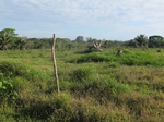 31947IMG_5654.JPG
