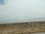 35419DSC02931.JPG