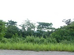 20625P1020482.JPG