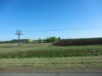 29075CIMG0557.JPG