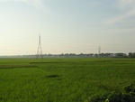 26108DSC01136.JPG