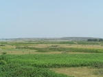 1767022042008(50).JPG