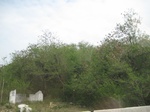 28113IMG_4917.JPG