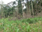 49817CIMG6154.JPG