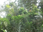 48522CIMG4859.JPG