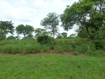 20768P1020626.JPG