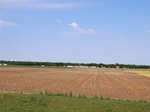30061CIMG0025.JPG