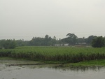21727DSC00269.JPG