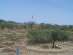 511222042008(44).JPG