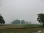 40144CIMG9210.JPG