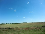 29064CIMG0763.JPG