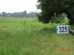131760325b-rainfed-agriculture-rice.gif