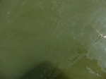 58185CIMG2632.JPG