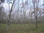 27776RIMG0057.JPG