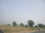 9099RIMG0179.JPG