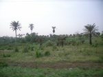 4069RIMG0374.JPG