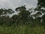 49607CIMG5944.JPG