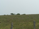 1796127042008(91).JPG