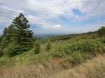 55702CIMG2478.JPG