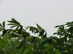 50554CIMG1183.JPG