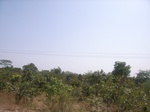 9037RIMG0115.JPG