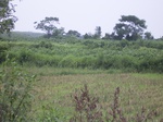 871R0015395.jpg