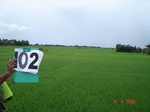 123890102a-irrigated-canal-largearea-rice-singlecrop.gif