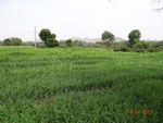 51802Tand ID 1800232 Agrahara 4.JPG