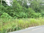 20526P1020383.JPG