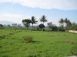 15368IMG_4216.JPG