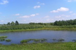 54542SAM_0316.JPG