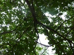 21027P1020897.JPG