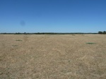 39278P1080117.JPG