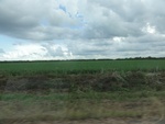 24825DSC00994.JPG