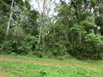 46583CIMG0872.JPG