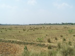 17444100_2132.JPG