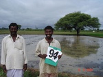 6417094b-irrigated-supplemental-tank-rice-doublecrop-.jpg