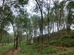 52800CIMG4659_调整大小.JPG
