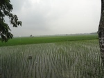 21725DSC00267.JPG